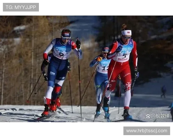新华社报道滑雪决赛顺利进行中